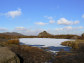 The Roaches